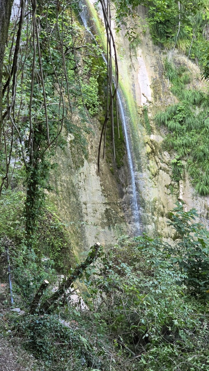 Lower waterfall in woodland near Vallico