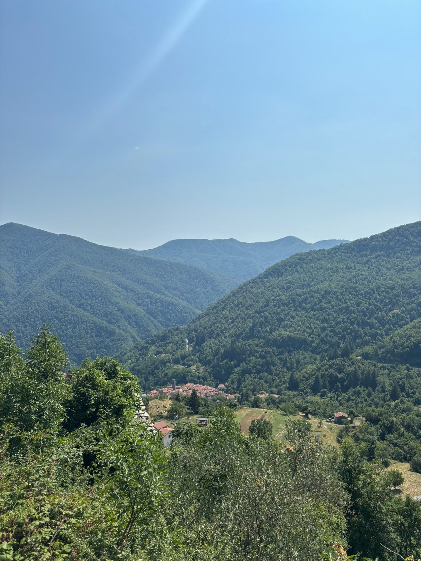 Vallico Sotto seen from above within the surrounding wooded mountain landscape