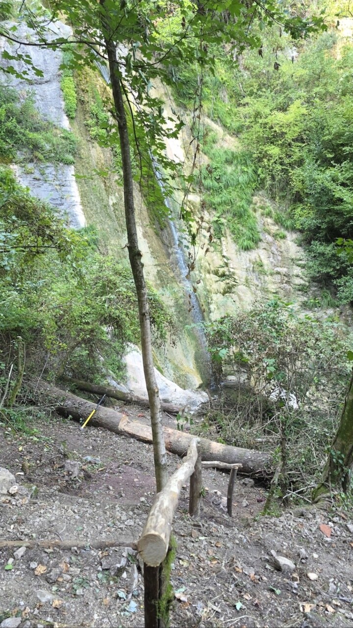Steps being built down through the forest toward the waterfall near Vallico