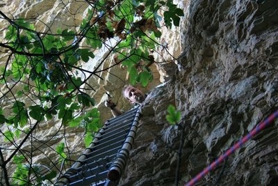 Mike Towler at the top of the ladder entering the Palace of Ismeno in 2007