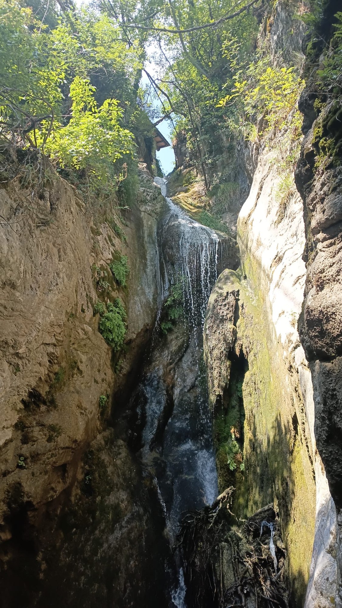 Upper cascade of a waterfall in woodland near Vallico